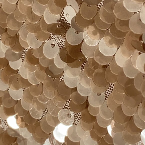 M - THE LIMITED - NWT - reversible sequin cream tank - Picture 11 of 16